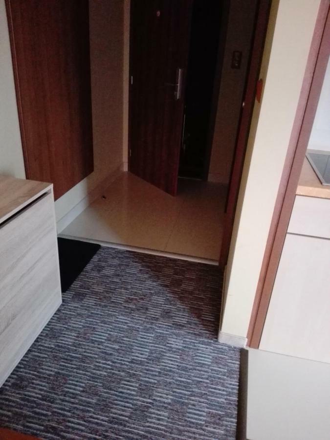 Apartman Fiona ヴェルカー・ロムニツァ エクステリア 写真